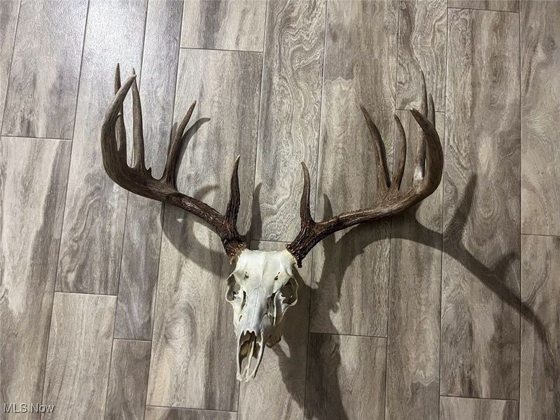 0 Township Rd 331, Corning, OH 43730 Photo 14