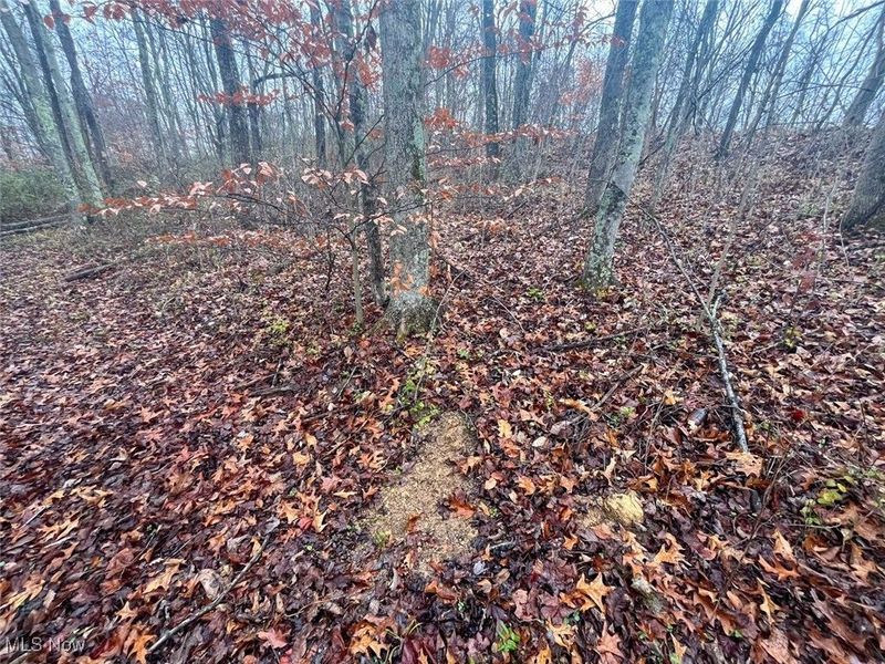 0 Township Rd 331, Corning, OH 43730 Photo 5