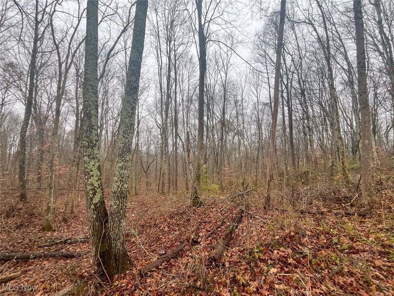 0 Township Rd 331, Corning, OH 43730 Photo 6