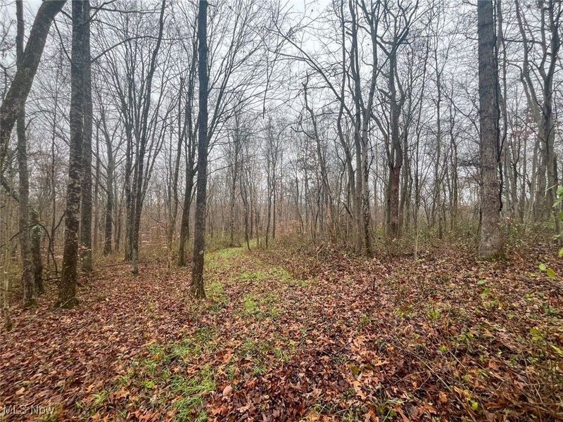 0 Township Rd 331, Corning, OH 43730 Photo 7