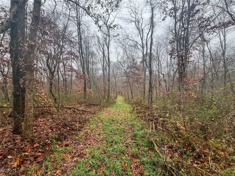 0 Township Rd 331, Corning, OH 43730 Photo 8