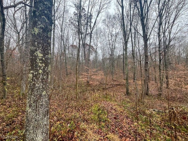 0 Township Rd 331, Corning, OH 43730 Photo 9