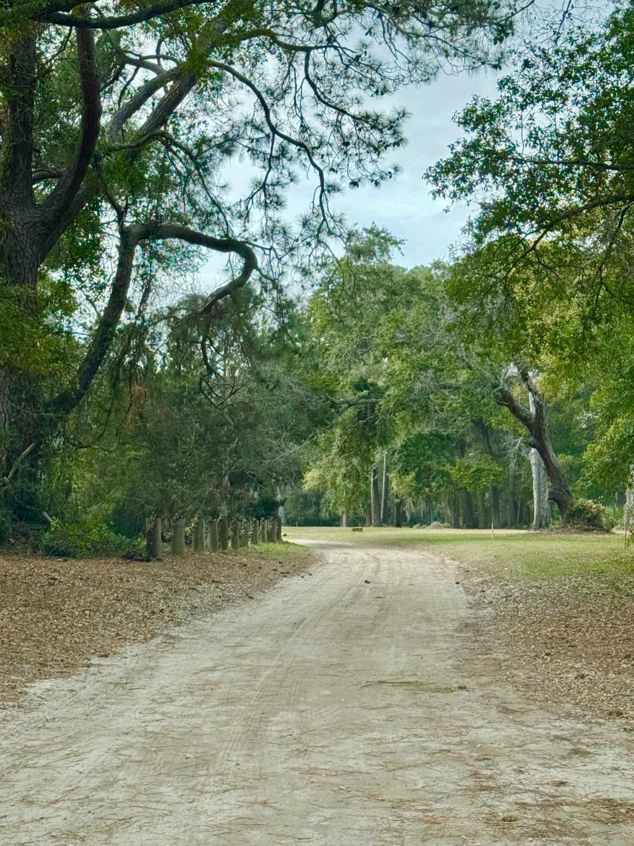 0 Cherry Point Road Photo 4