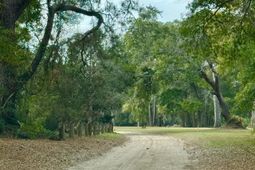 0 Cherry Point Road photo 4