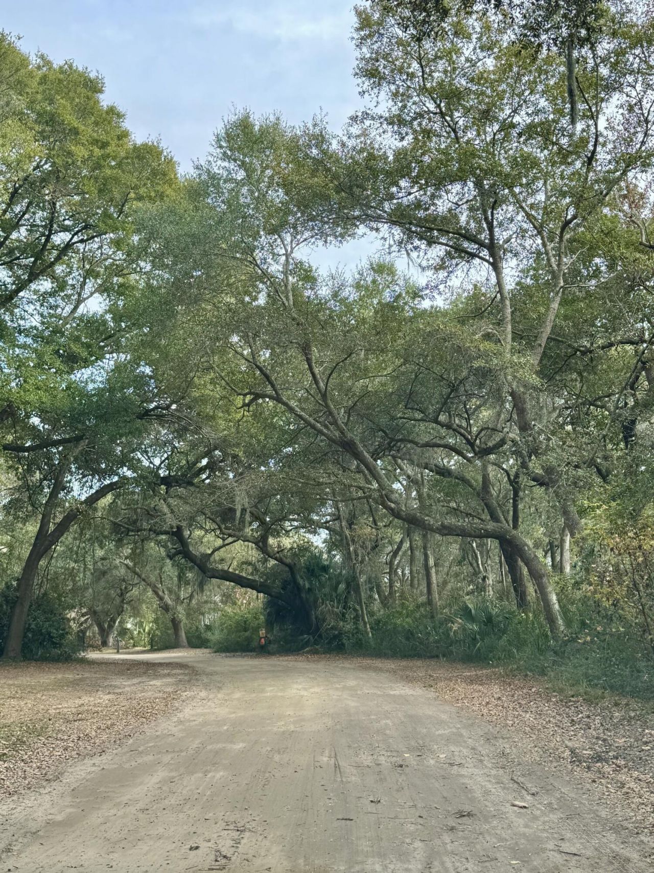 0 Cherry Point Road Photo 6