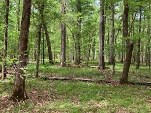 310 Philomath Woodville Road, Rayle, GA 30660