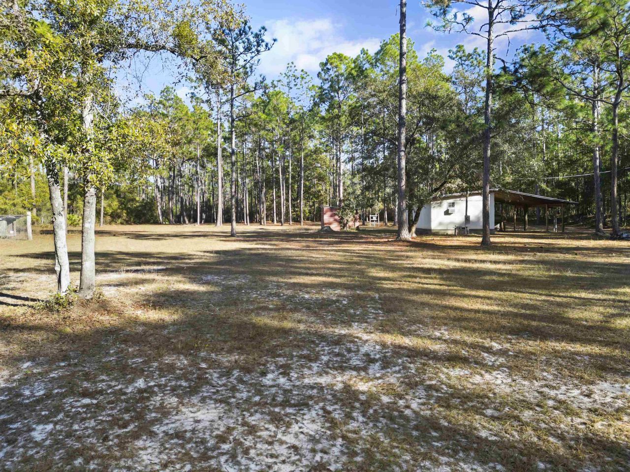 13563 SW Forest Road 141, Bristol, FL 32321 Photo