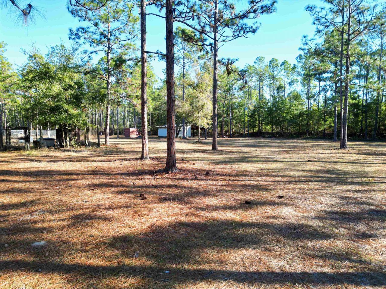 13563 SW Forest Road 141, Bristol, FL 32321 Photo