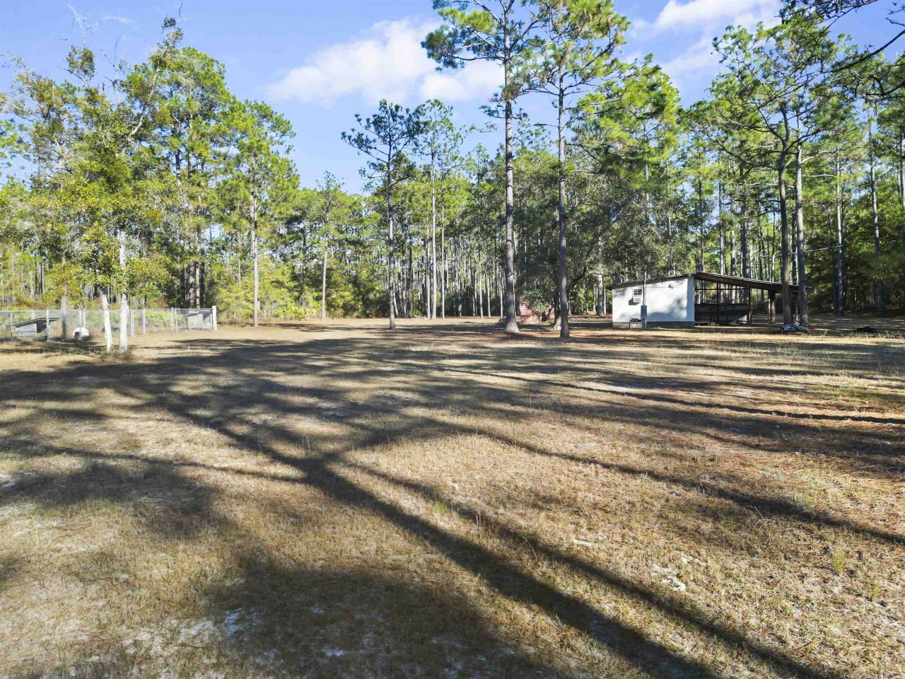 13563 SW Forest Road 141, Bristol, FL 32321 Photo