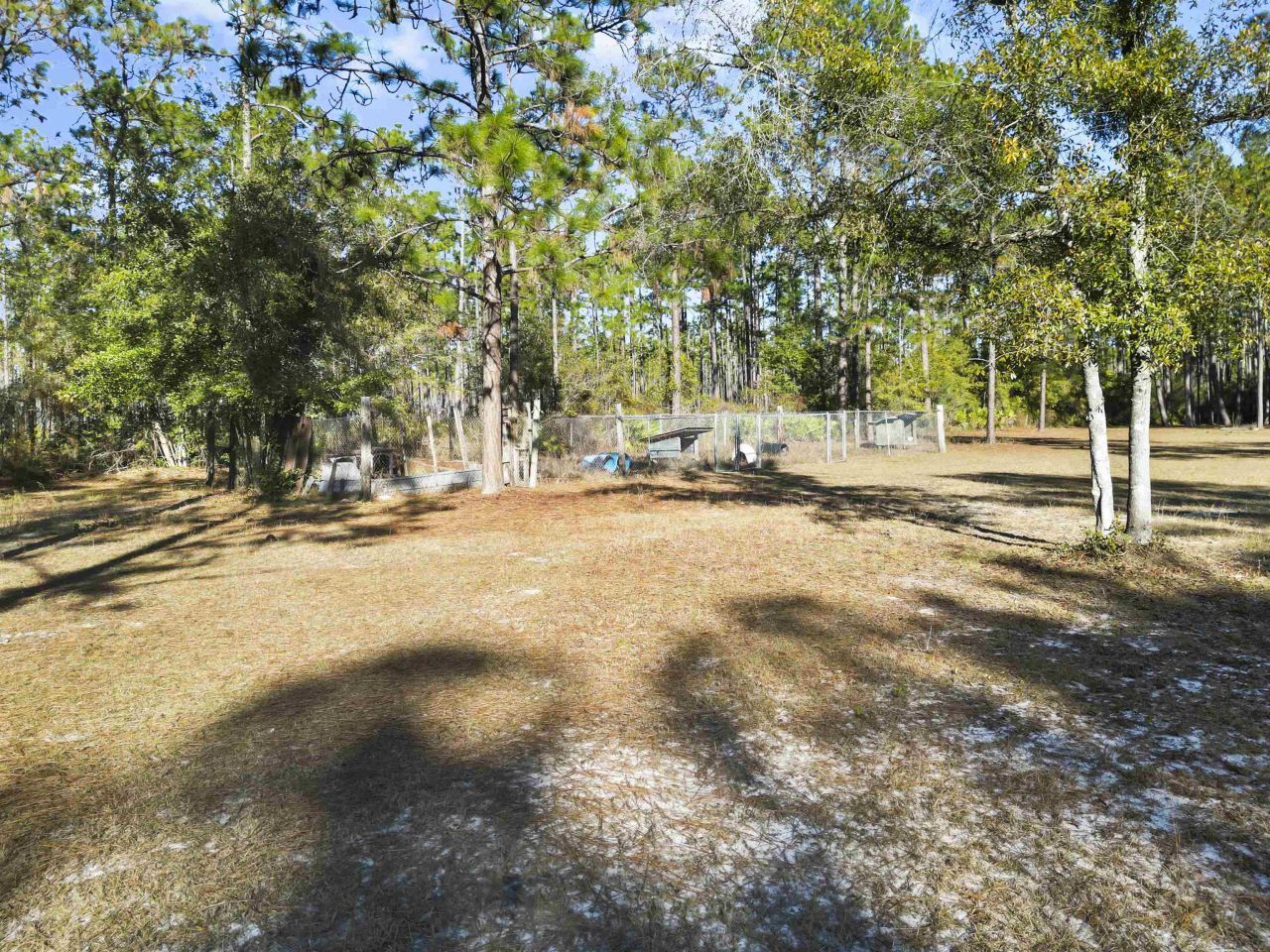 13563 SW Forest Road 141, Bristol, FL 32321 Photo