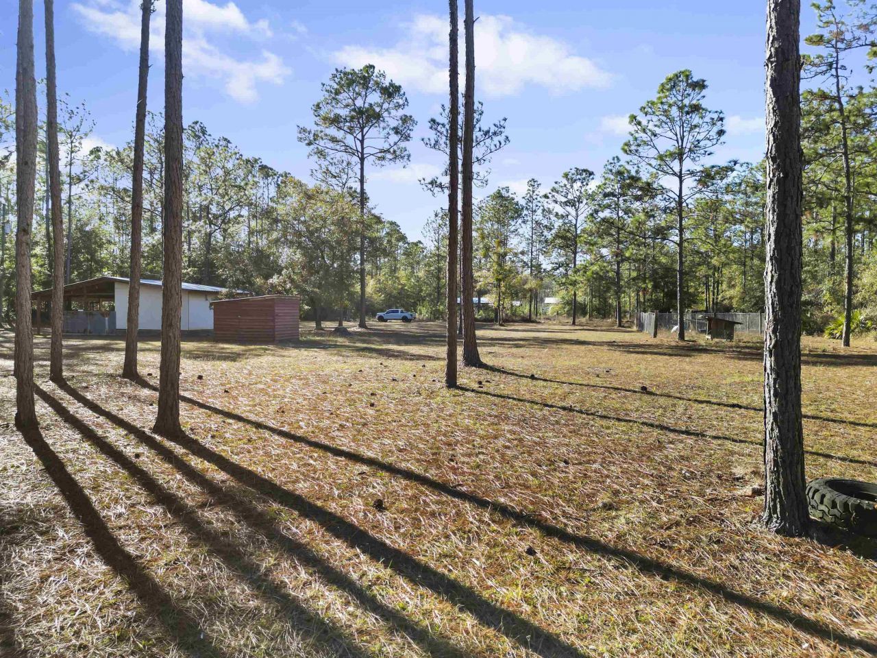 13563 SW Forest Road 141, Bristol, FL 32321 Photo