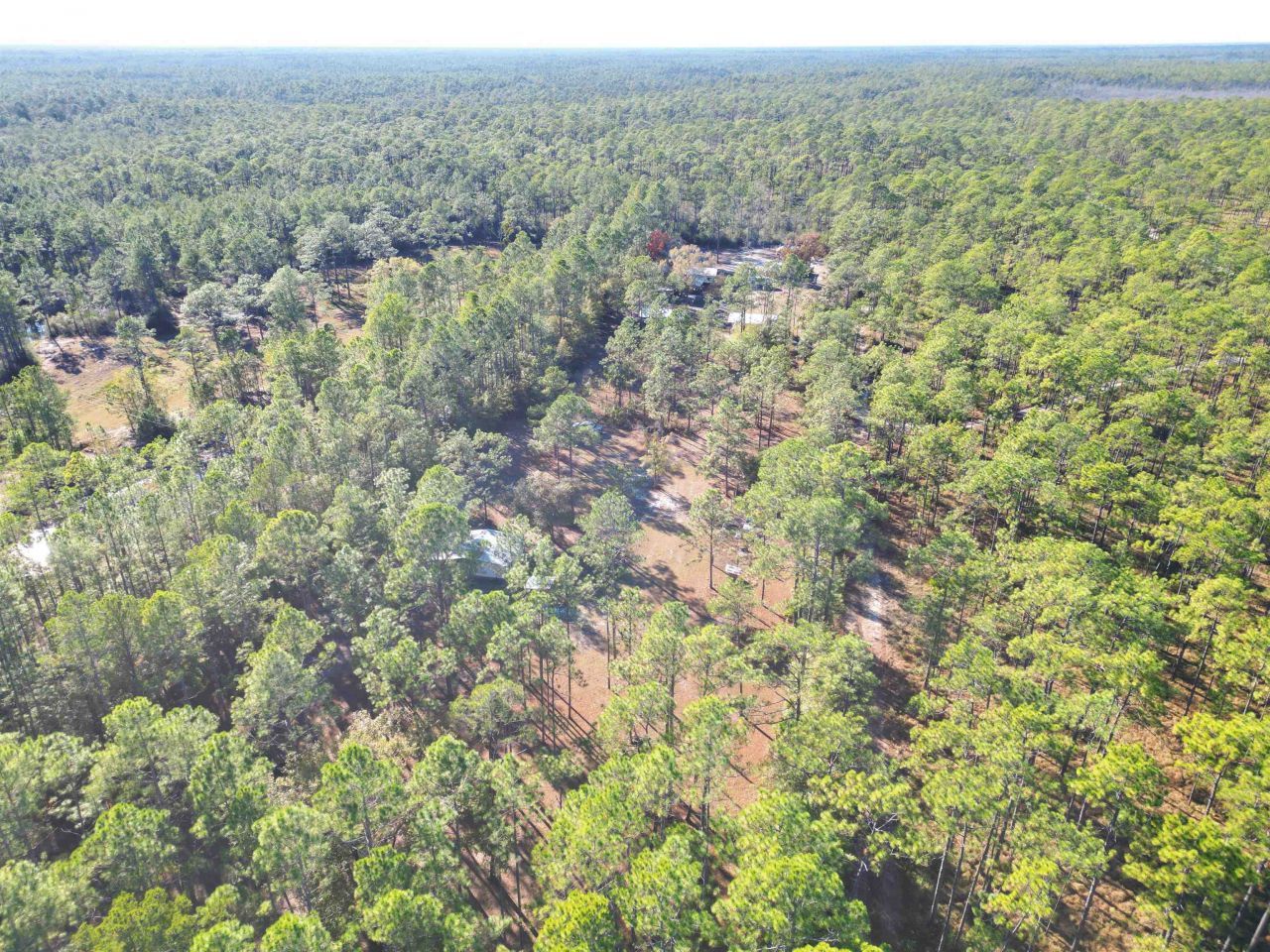 13563 SW Forest Road 141, Bristol, FL 32321 Photo