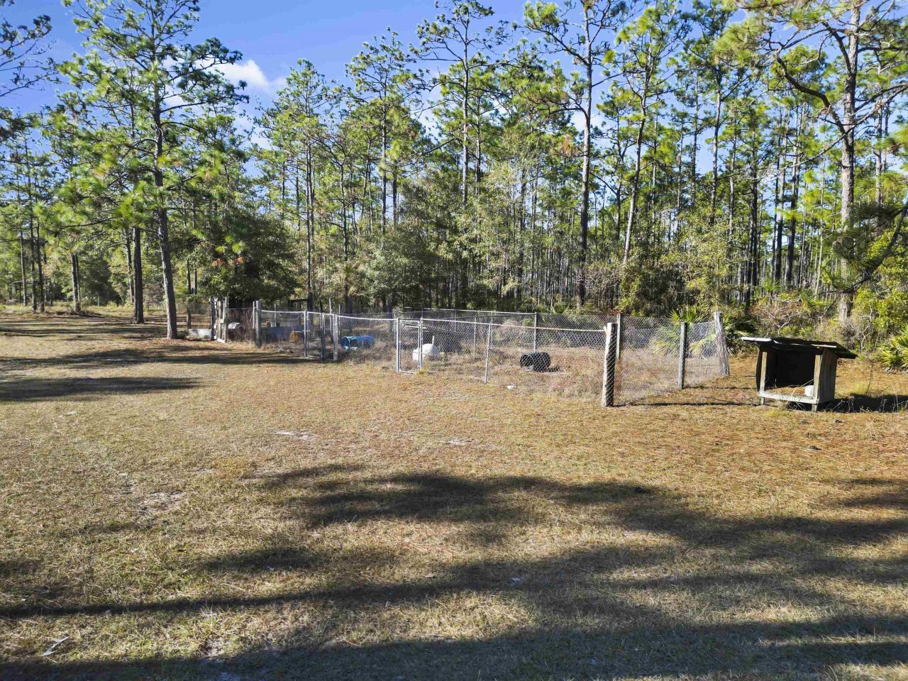 13563 SW Forest Road 141, Bristol, FL 32321 Photo