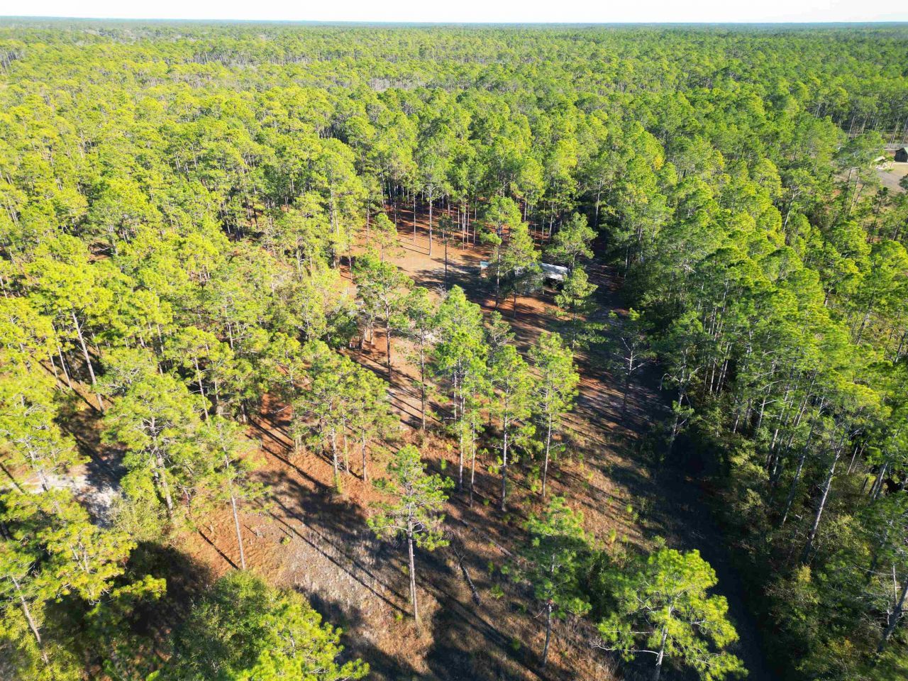 13563 SW Forest Road 141, Bristol, FL 32321 Photo