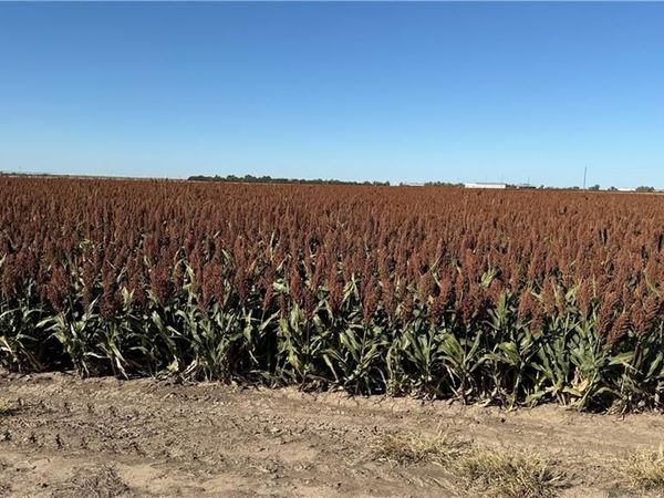 Meade County C Road, Other, KS 67844