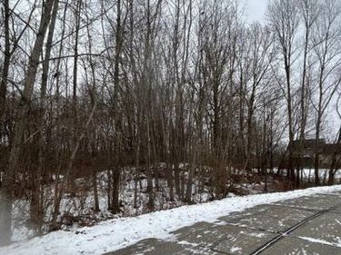00 Brandi Lane, Handy Twp, MI 48836