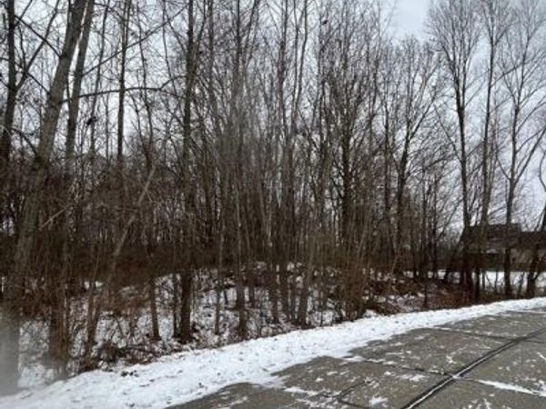 00 Brandi Lane , Handy Twp, MI 48836