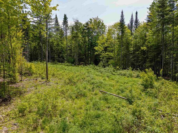 40 Bear Paw Trail, Littleton, NH 03561