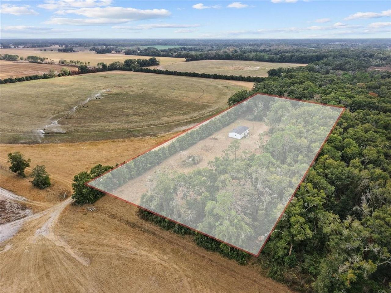 4754 SW 10th Street, Bell, FL 32619 Photo