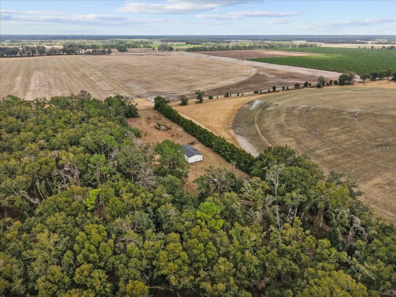 4754 SW 10th Street, Bell, FL 32619 Photo