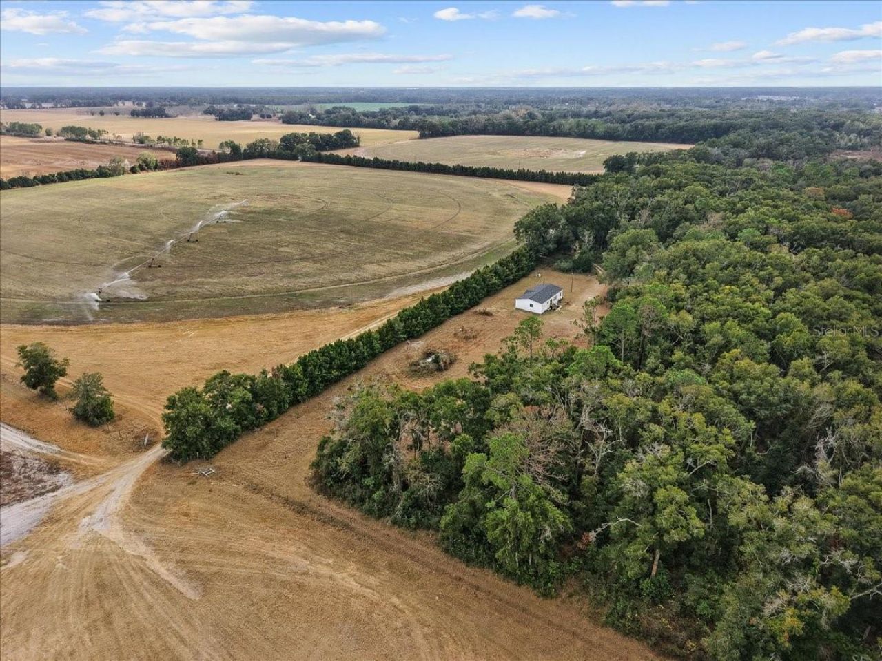 4754 SW 10th Street, Bell, FL 32619 Photo