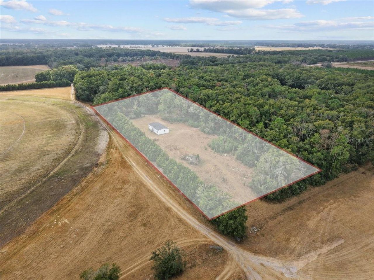 4754 SW 10th Street, Bell, FL 32619 Photo