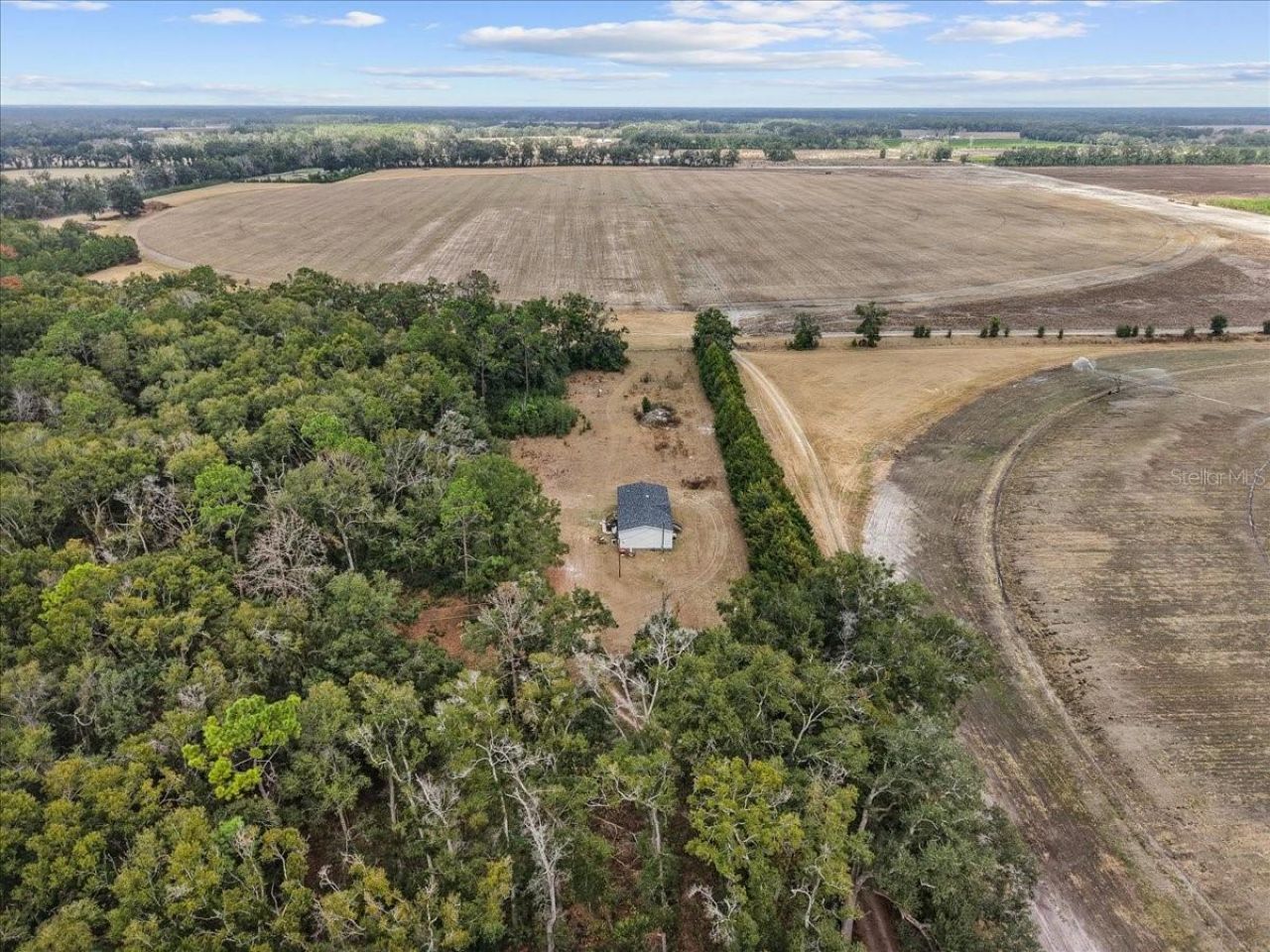 4754 SW 10th Street, Bell, FL 32619 Photo