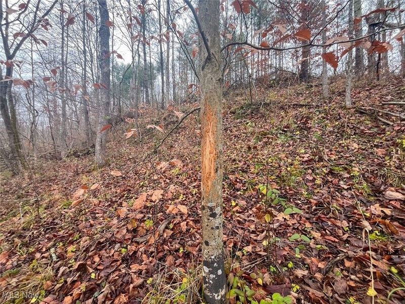 7714 County Rd 14, Corning, OH 43730 Photo 19