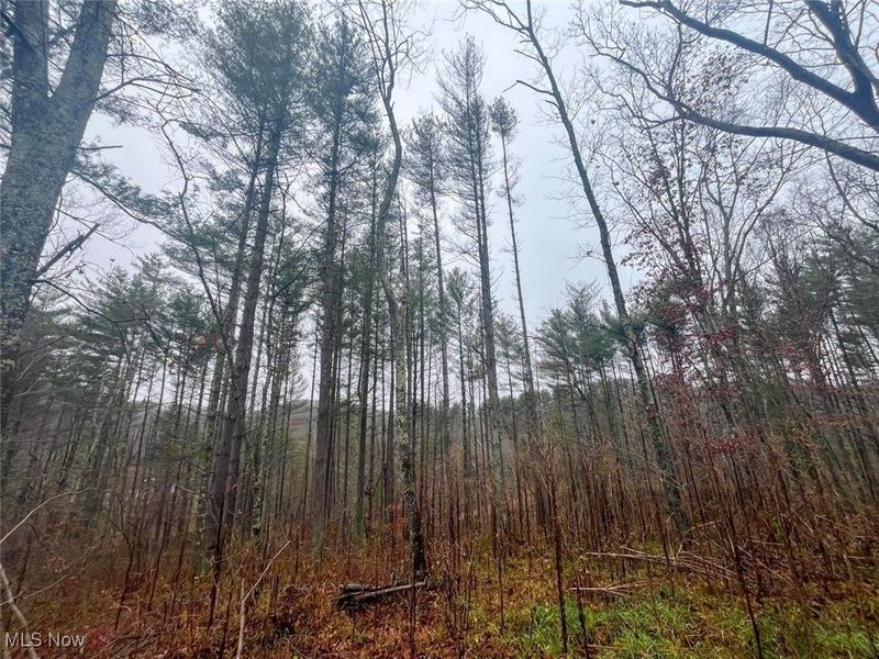 7714 County Rd 14, Corning, OH 43730 Photo 20