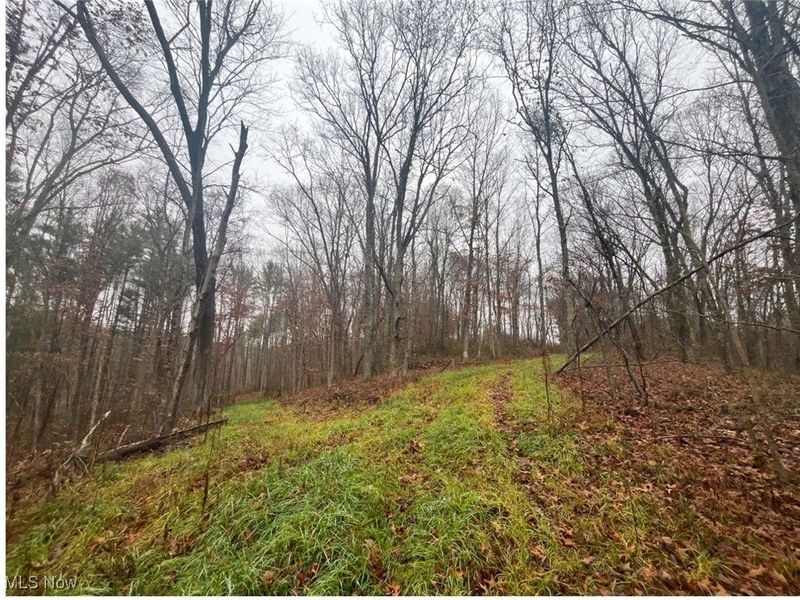 7714 County Rd 14, Corning, OH 43730 Photo 21