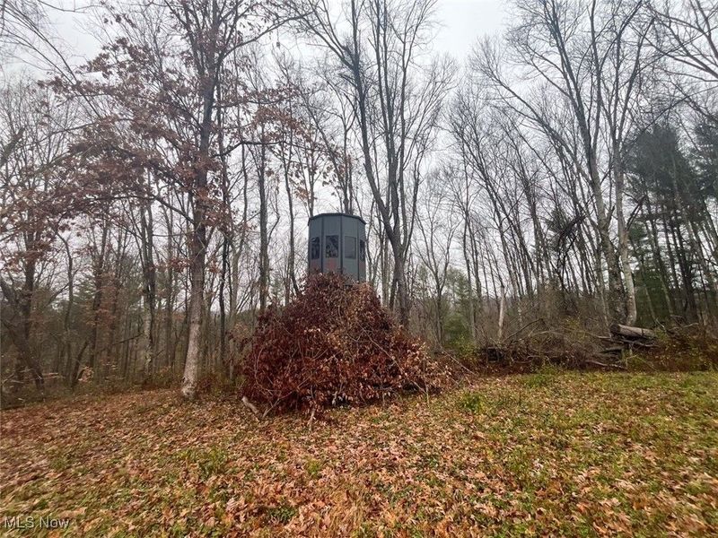 7714 County Rd 14, Corning, OH 43730 Photo 23