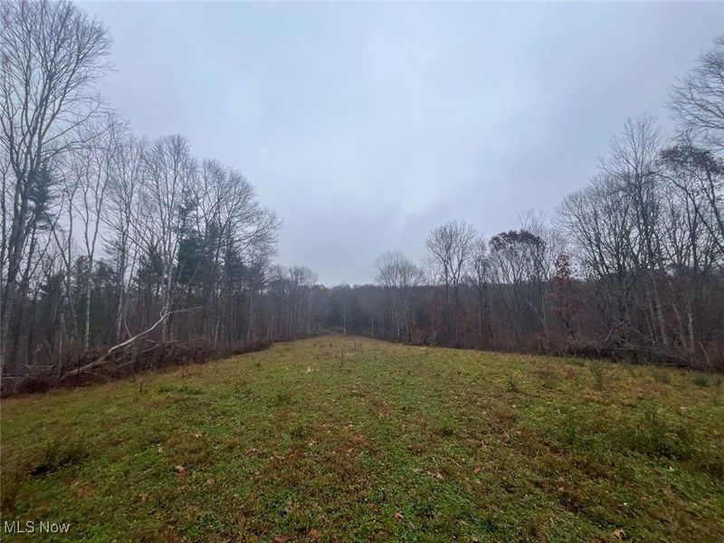 7714 County Rd 14, Corning, OH 43730 Photo 24