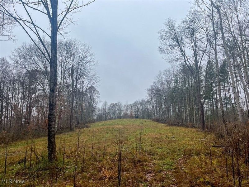 7714 County Rd 14, Corning, OH 43730 Photo 26