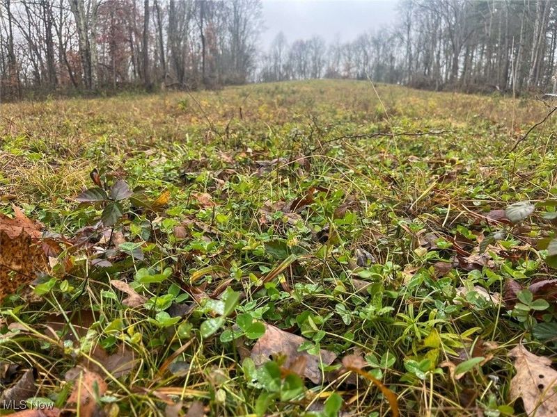 7714 County Rd 14, Corning, OH 43730 Photo 27