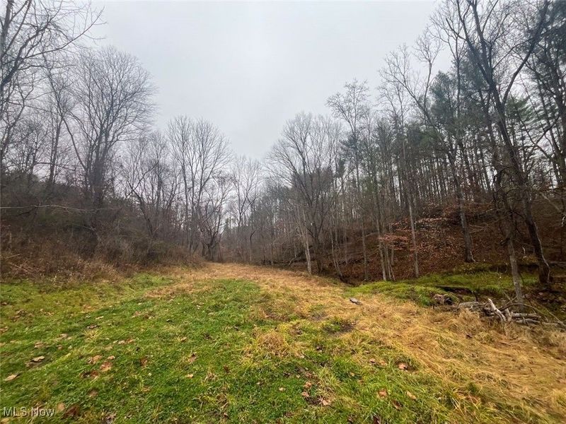 7714 County Rd 14, Corning, OH 43730 Photo 28