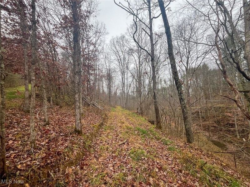 7714 County Rd 14, Corning, OH 43730 Photo 29