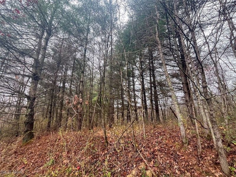 7714 County Rd 14, Corning, OH 43730 Photo 30