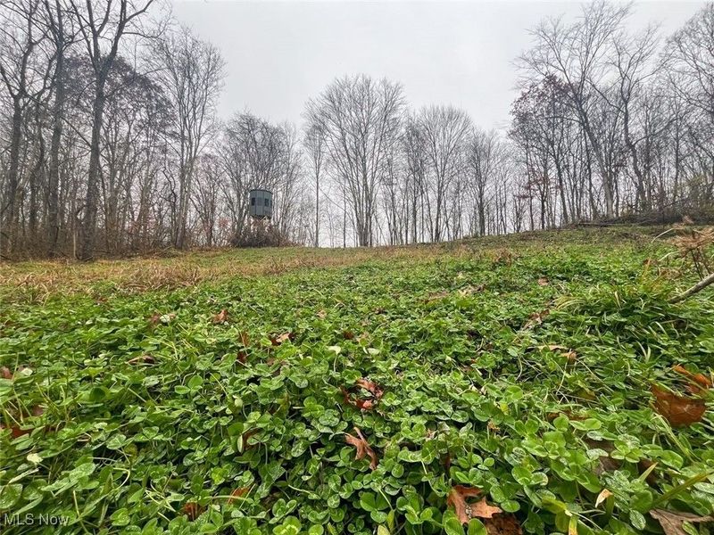 7714 County Rd 14, Corning, OH 43730 Photo 34