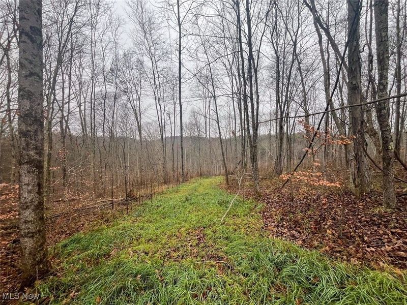 7714 County Rd 14, Corning, OH 43730 Photo 35