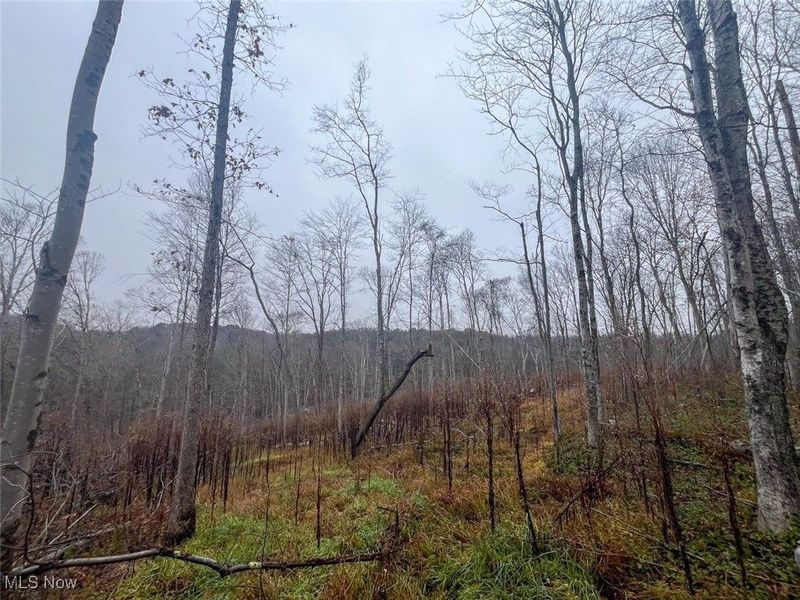 7714 County Rd 14, Corning, OH 43730 Photo 36