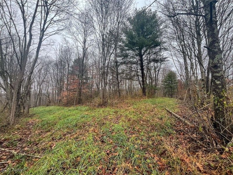 7714 County Rd 14, Corning, OH 43730 Photo 37