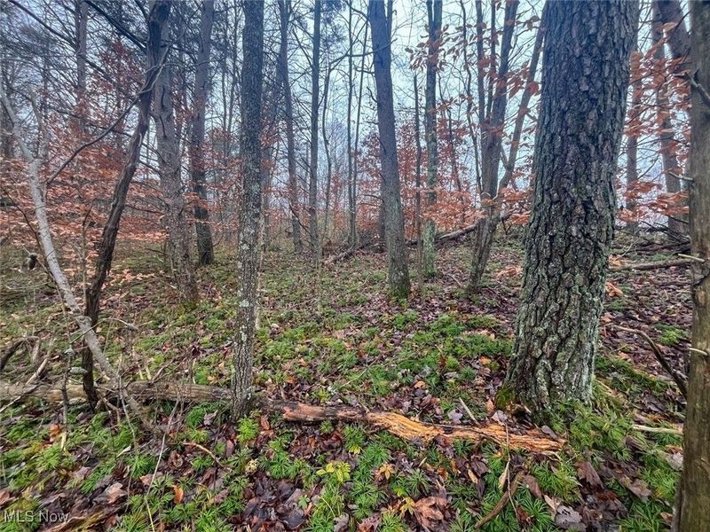 7714 County Rd 14, Corning, OH 43730 Photo 38