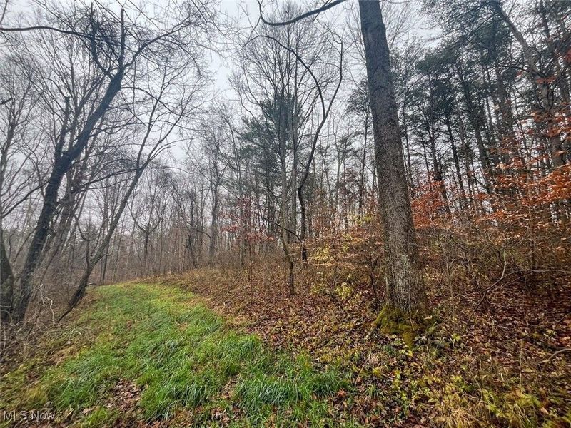 7714 County Rd 14, Corning, OH 43730 Photo 39