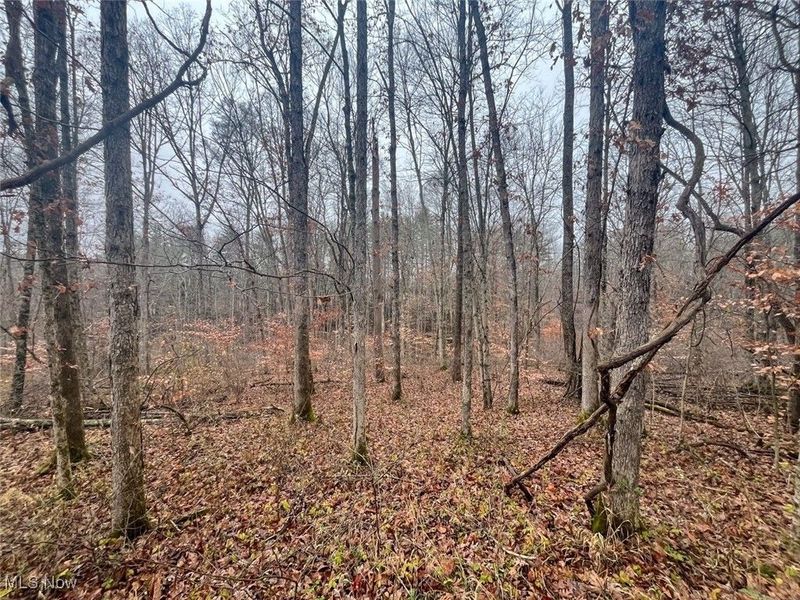 7714 County Rd 14, Corning, OH 43730 Photo 40