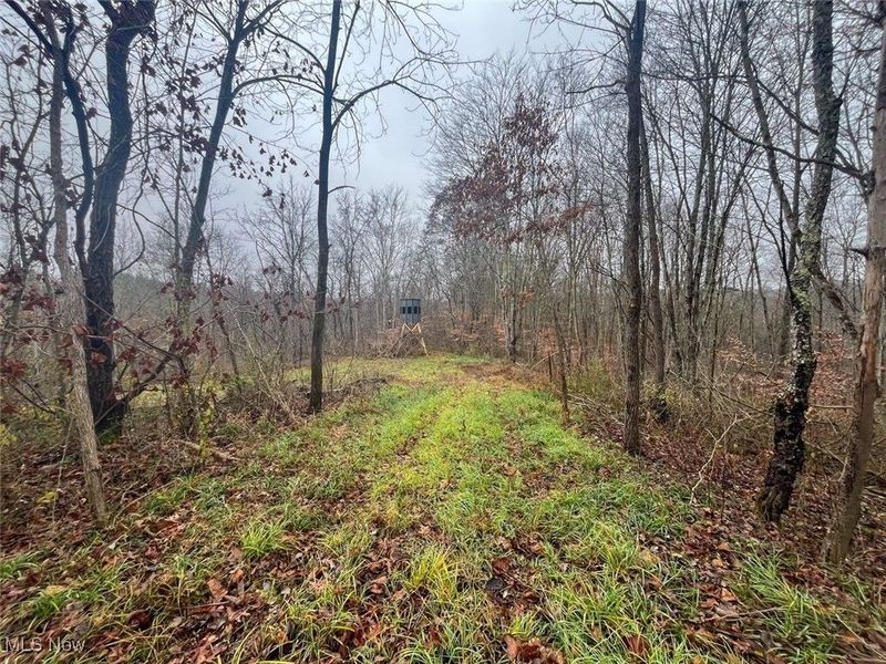 7714 County Rd 14, Corning, OH 43730 Photo 42