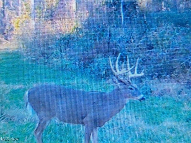 7714 County Rd 14, Corning, OH 43730 Photo 43