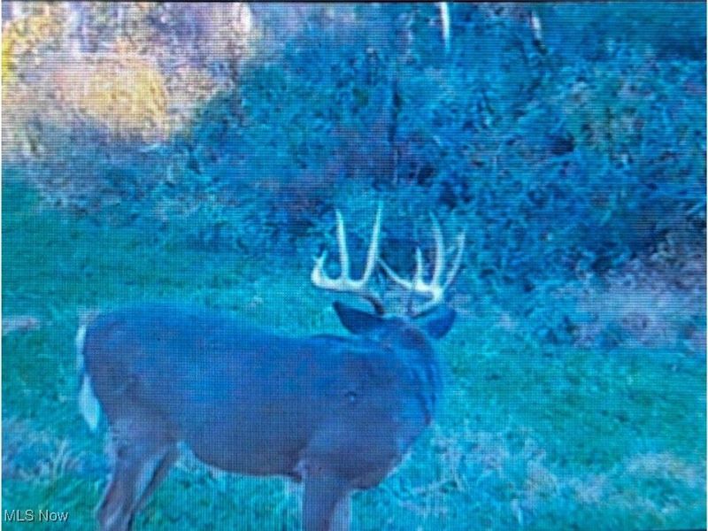 7714 County Rd 14, Corning, OH 43730 Photo 44