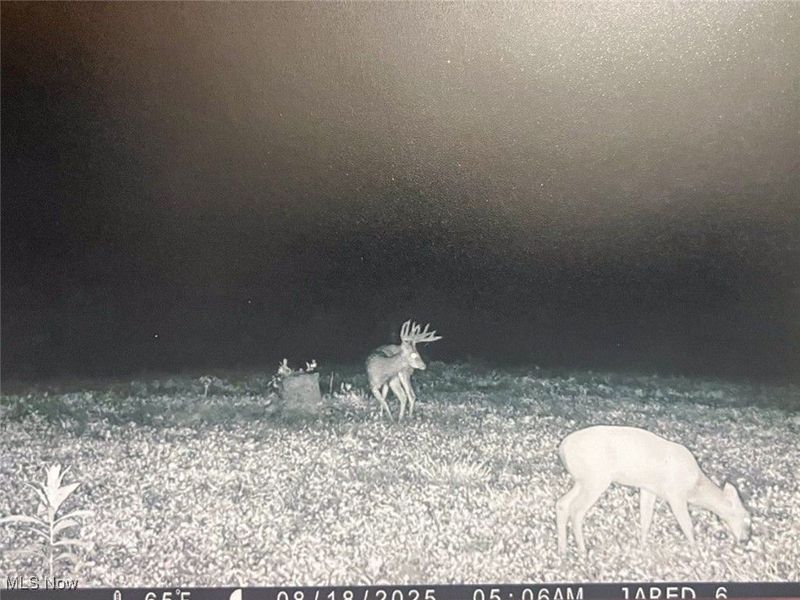 7714 County Rd 14, Corning, OH 43730 Photo 45