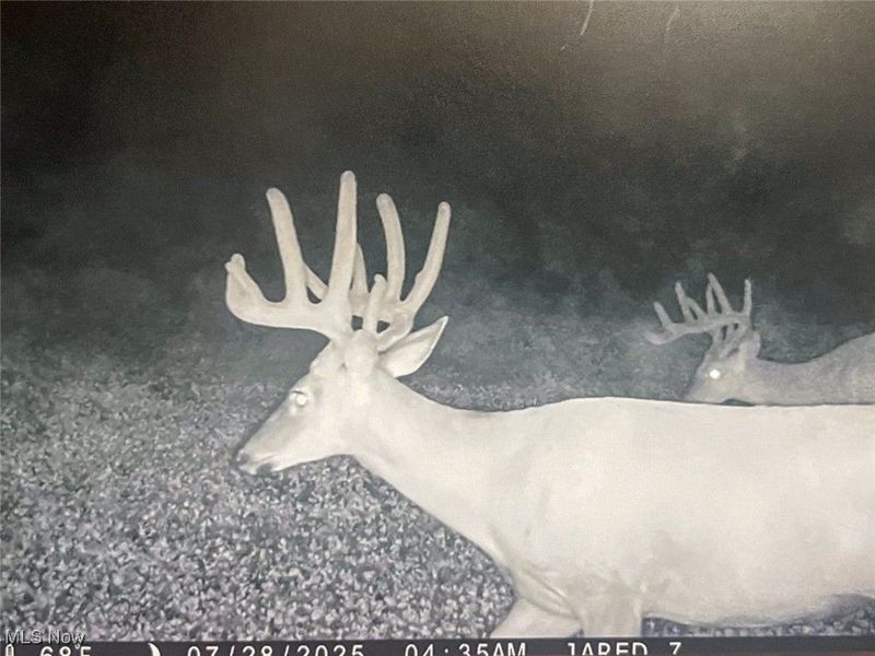 7714 County Rd 14, Corning, OH 43730 Photo 46