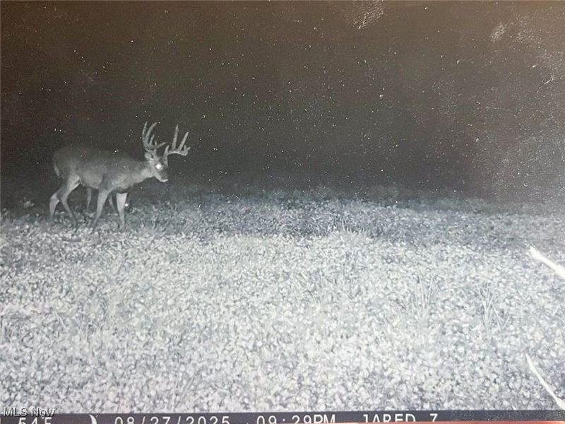 7714 County Rd 14, Corning, OH 43730 Photo 47